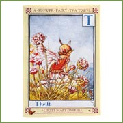 Flower Fairies K�chenartikel