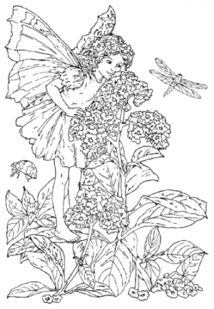 Flower Fairy Stempel Sonnenwende
