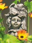Blumenkind Mohn