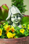 Blumenkind Glockenblume