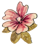 Einzelblume