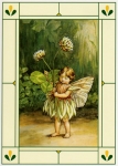 Postkarte Wei�er Klee