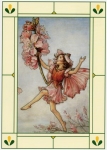 Postkarte Mandelbl�te