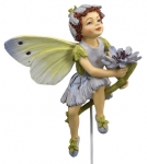 Flower-Fairy Elfe Wegwarte (GK)