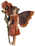 Flower-Fairy Elfe Mohnblume (GK)