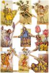 Glanzbilder Flower Fairies Nr. 6