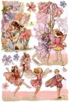 Glanzbilder Flower Fairies Nr. 5