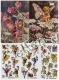 Stickerpack klein Schleifenblume