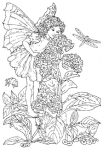 Flower Fairy Stempel Sonnenwende