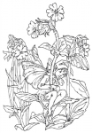 Flower Fairy Stempel Rote Nachtnelke