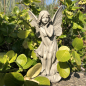 Preview: Blumenfairy Schwertlilie