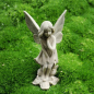 Preview: Blumenfairy Schwertlilie