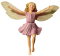 Preview: Flower-Fairy Elfe Feuerkraut (Box)
