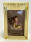 Preview: Flower-Fairy Elfe Ruprechtskraut (Box)