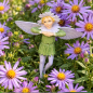 Preview: Flower-Fairy Elfe Aster (Box)