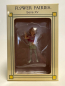 Preview: Flower-Fairy Elfe Nelkenjunge (Box)