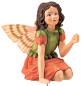 Preview: Flower-Fairy Elfe Geranie (Box)