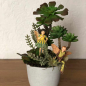 Preview: Flower Fairies Gesteck Greiskraut & Buche