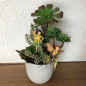Preview: Flower Fairies Gesteck Greiskraut & Buche