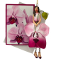 Preview: Mini-Karte Phalaenopsis pink