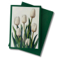 Preview: Mini-Karte Tulpe weiss