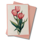 Preview: Mini-Karte Tulpe rosa
