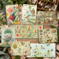 Preview: Postkartenset Histoire Naturelle 8 Karten