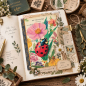 Preview: Postkartenset Histoire Naturelle 8 Karten