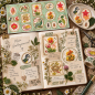 Preview: Postkartenset Histoire Naturelle 8 Karten