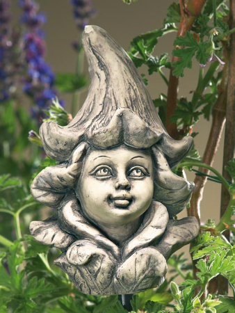 Blumenkind Stechapfel