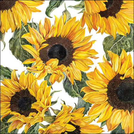 Servietten Sunflowers blossoming
