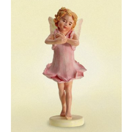Flower-Fairy Mini Rose
