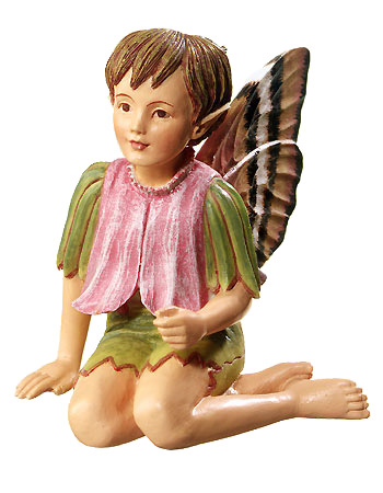 Flower-Fairy Elfe Ruprechtskraut (Box)