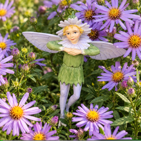 Flower-Fairy Elfe Aster (Box)