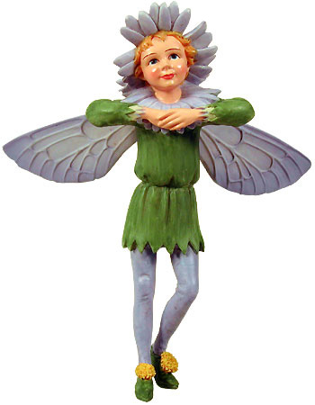 Flower-Fairy Elfe Aster (Box)