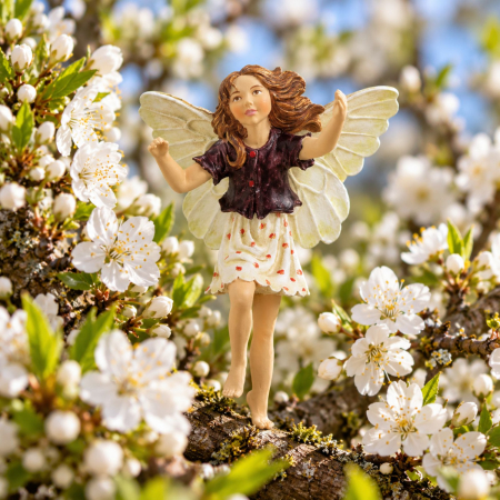 Preview: Flower-Fairy Elfe Schlehdorn (Box)