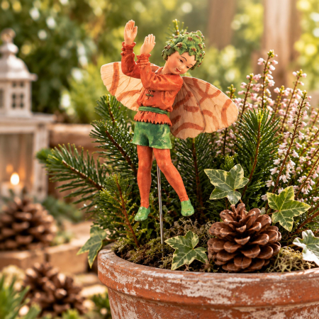 Preview: Flower-Fairy Elfe Pinie (Box)