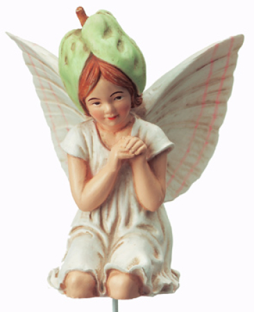 Flower-Fairy Elfe Ackerwinde (Box)