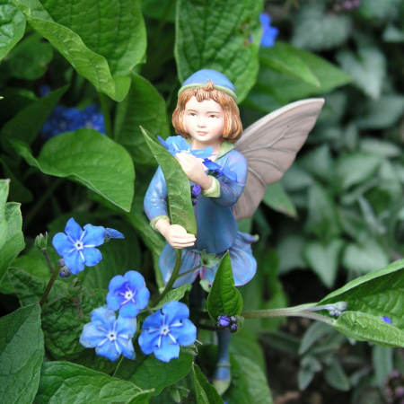 Preview: Flower-Fairy Elfe Ehrenpreis (Box)