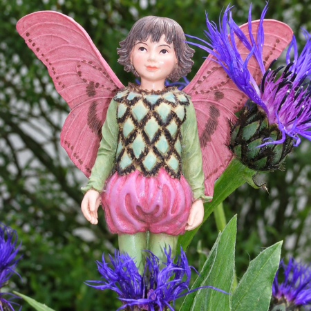 Preview: Flower-Fairy Elfe Flockenblume (Box)