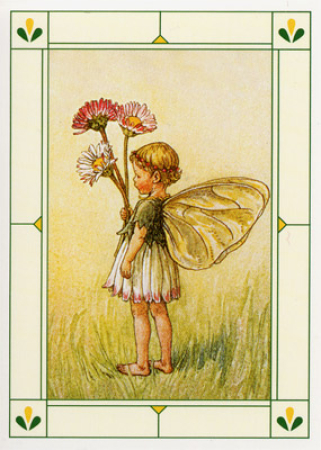 Minikarte Gänseblümchen