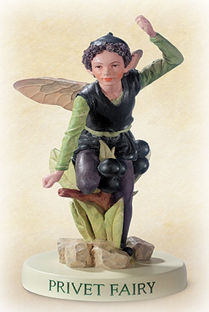 Flower-Fairy Elfe Liguster (Sockel)