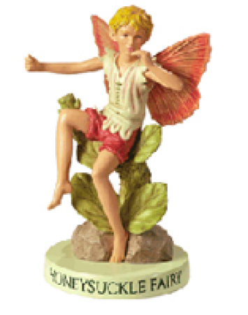 Flower-Fairy Geißblatt (Sockel)