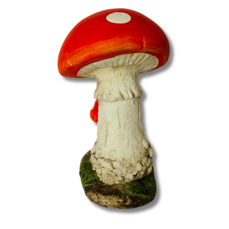 Fliegenpilz Rotkäppchen