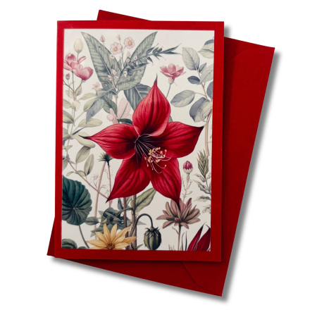 Mini-Karte Akelei rot