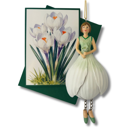 Preview: Mini-Karte Krokus weiß