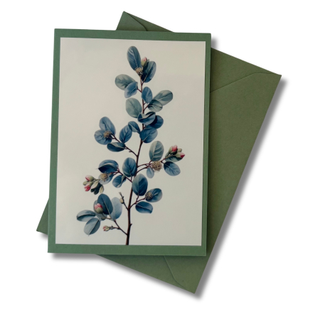 Mini-Karte Eukalyptus