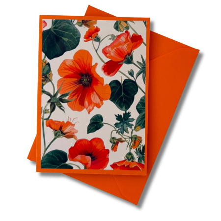 Mini-Karte Kapuzinerkresse