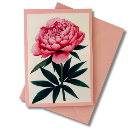 Mini-Karte Pfingstrose rosa