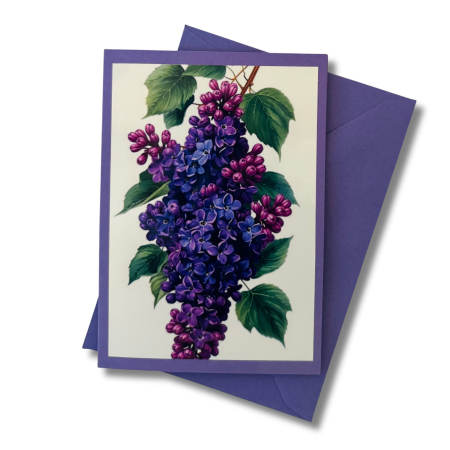 Mini-Karte Flieder dunkel-lila